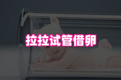 福建助孕网 1