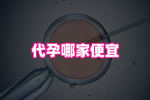 福建助孕网 2