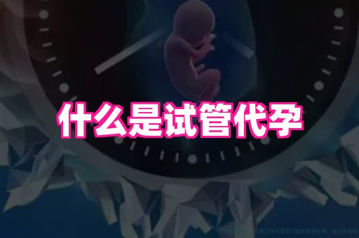 福建助孕网 3